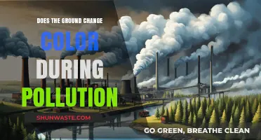 How Pollution Affects the Ground's Color