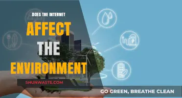 How Internet Usage Impacts Our Environment: A Comprehensive Analysis