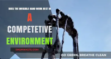 Does the Invisible Hand Thrive in Competitive Markets?