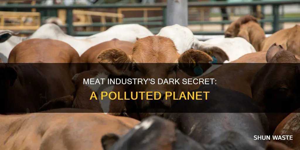 does the meat industry cause pollution