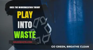 Modernization Theory's Impact on Waste: A Critical Analysis