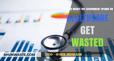 Is Government Healthcare Spending Efficient or a Waste of Resources?