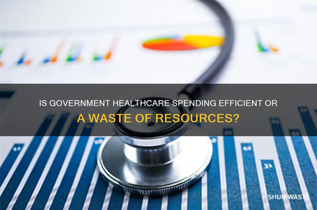 does the money the government spends on healthcare get wasted