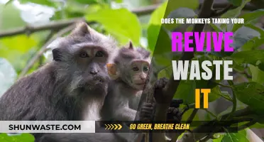 Monkeys Steal Your Revive: Is It Wasted or Shared?