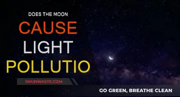 Moonlight's Impact: Debunking Light Pollution Myths