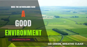 Exploring the Netherlands' Environmental Success: A Sustainable Nation's Green Legacy