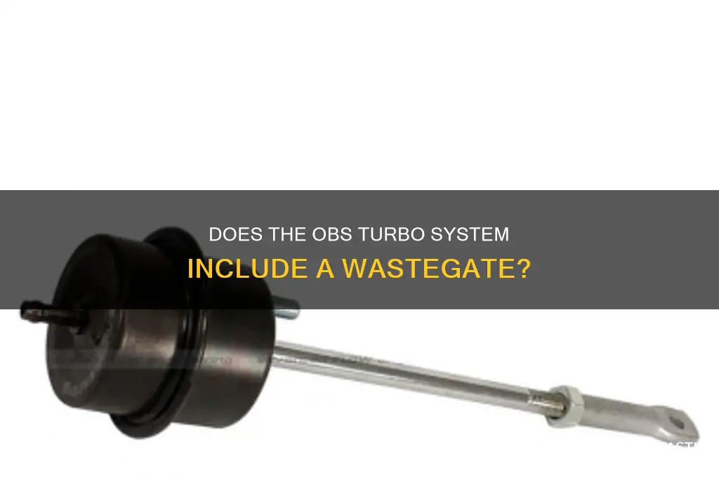 does the obs have a waste gate