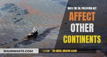 Oil Pollution Act: Global Reach and Impact?