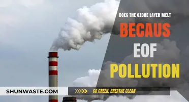 How Pollution Impacts the Ozone Layer