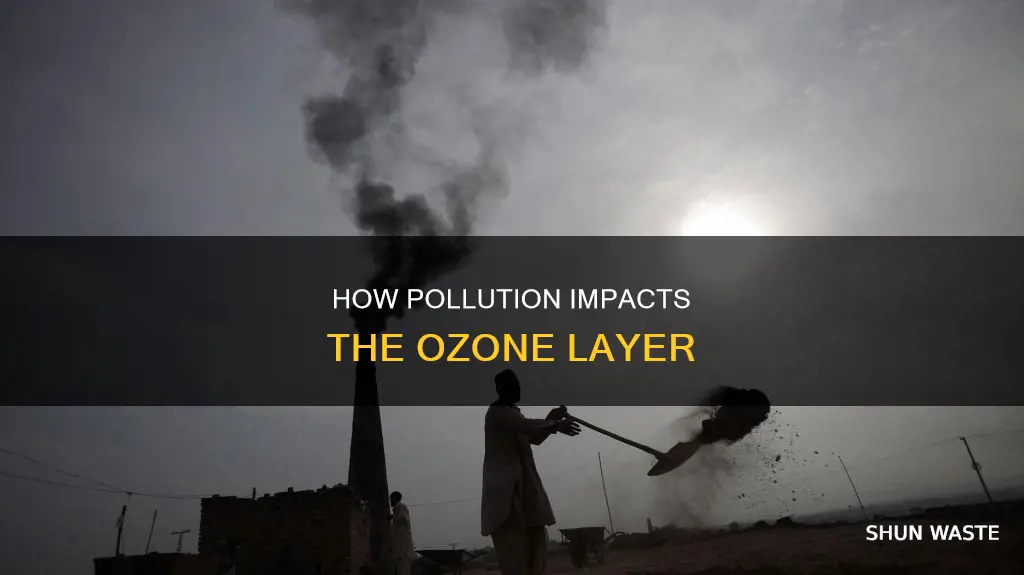 does the ozone layer melt becaus eof pollution