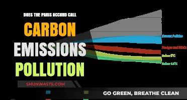 Paris Accord: Carbon Emissions and Pollution