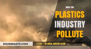 Plastic Industry: Polluting Our Planet?
