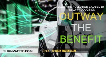 Tesla's Green Image: Is Pollution a Hidden Cost?