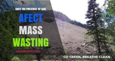 Soil's Role in Mass Wasting: Impact and Prevention Strategies