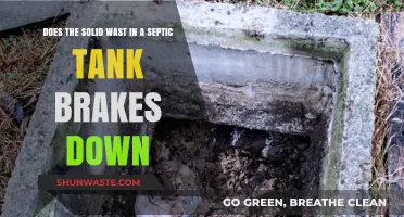 Does Septic Tank Solid Waste Break Down? Understanding the Process