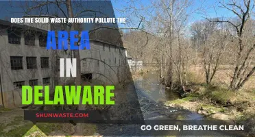 Delaware's Solid Waste Authority: Friend or Foe?