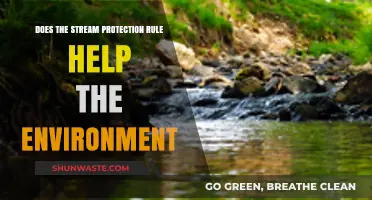 Stream Protection Rule: Environmental Lifeline or Regulatory Overreach?
