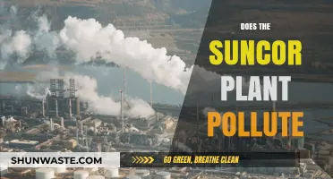 Suncor Plant: A Polluting Hazard?