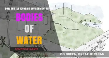 How Surrounding Landscapes Shape the Health of Our Water Bodies