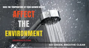 Hot or Cold Showers: Environmental Impact of Your Water Temperature Choice