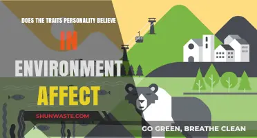 How Personality Traits Interact with Environmental Influences: A Deep Dive