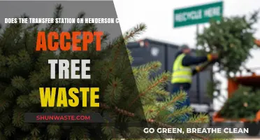 Henderson County Transfer Station: Tree Waste Acceptance Guidelines Explained