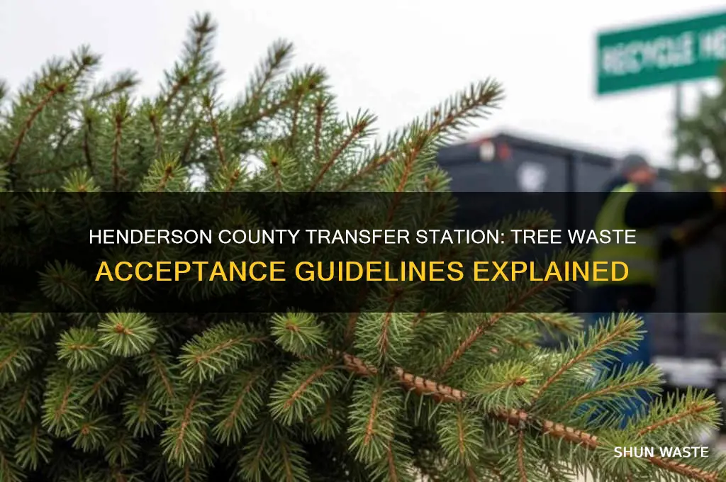 does the transfer station oh henderson county accept tree waste
