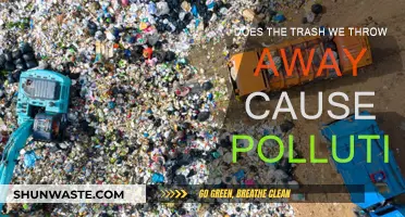 The Hidden Impact: How Trash Pollution Affects Our World