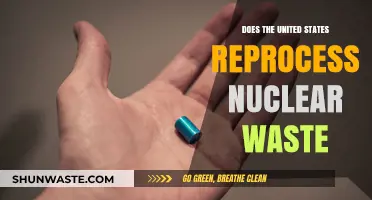 Does the U.S. Reprocess Nuclear Waste? Exploring Current Practices