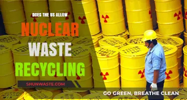 US Nuclear Waste Recycling: Policies, Challenges, and Future Prospects