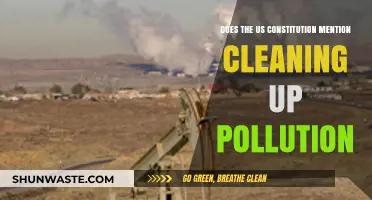 Constitution and Pollution: What's the Connection?