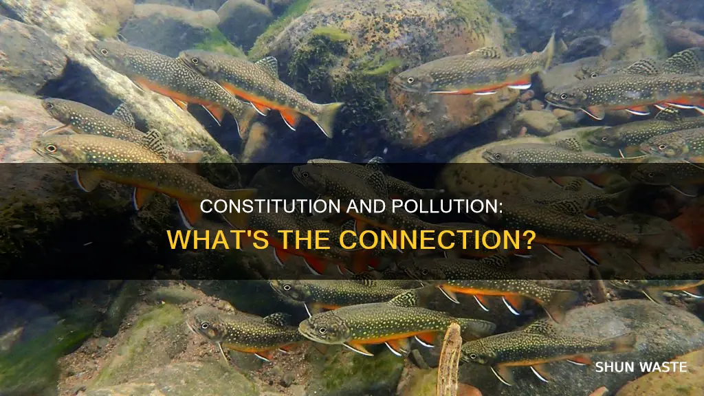does the us constitution mention cleaning up pollution