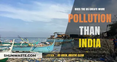 Who Pollutes More: The US or India?