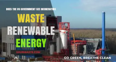Is Waste Incineration Considered Renewable Energy by the US Government?