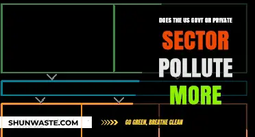 Who Pollutes More: US Govt or Private Sector?