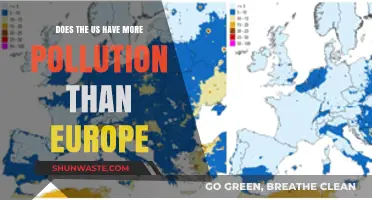 US vs Europe: Who Pollutes More?