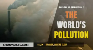 US Pollution: Global Impact and Responsibility
