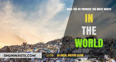 Is the US the World's Top Waste Producer? Facts Revealed