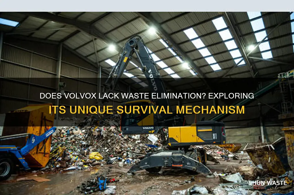 does the volvox not need to get rid of waste