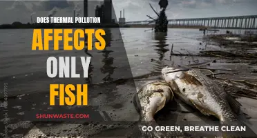 Thermal Pollution: Impact on Fish and Beyond