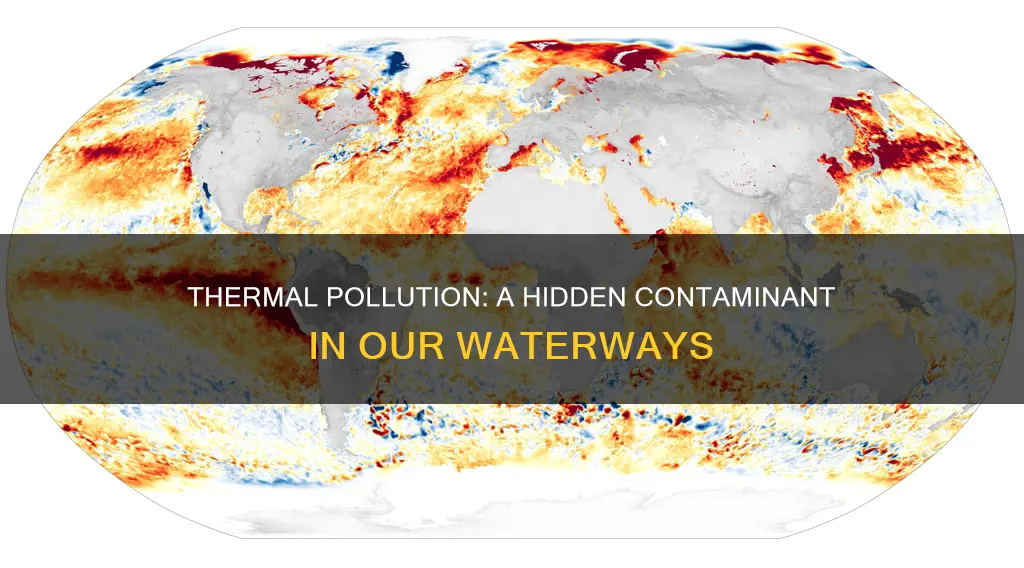 does thermal pollution contaminate the water