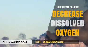 Thermal Pollution: Impact on Dissolved Oxygen Levels