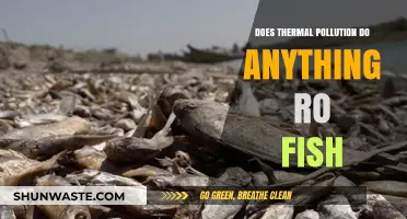 Thermal Pollution: A Fishy Threat?