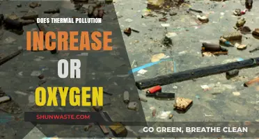 Thermal Pollution: Impact on Oxygen Levels