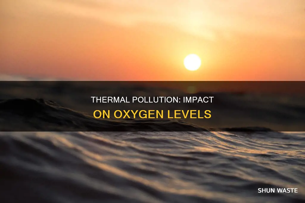 does thermal pollution increase or oxygen