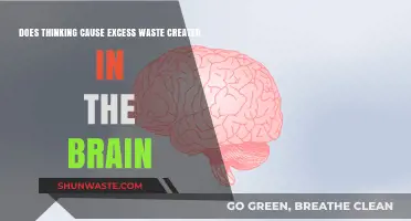 Thinking's Impact: Does Brain Activity Lead to Excess Waste?
