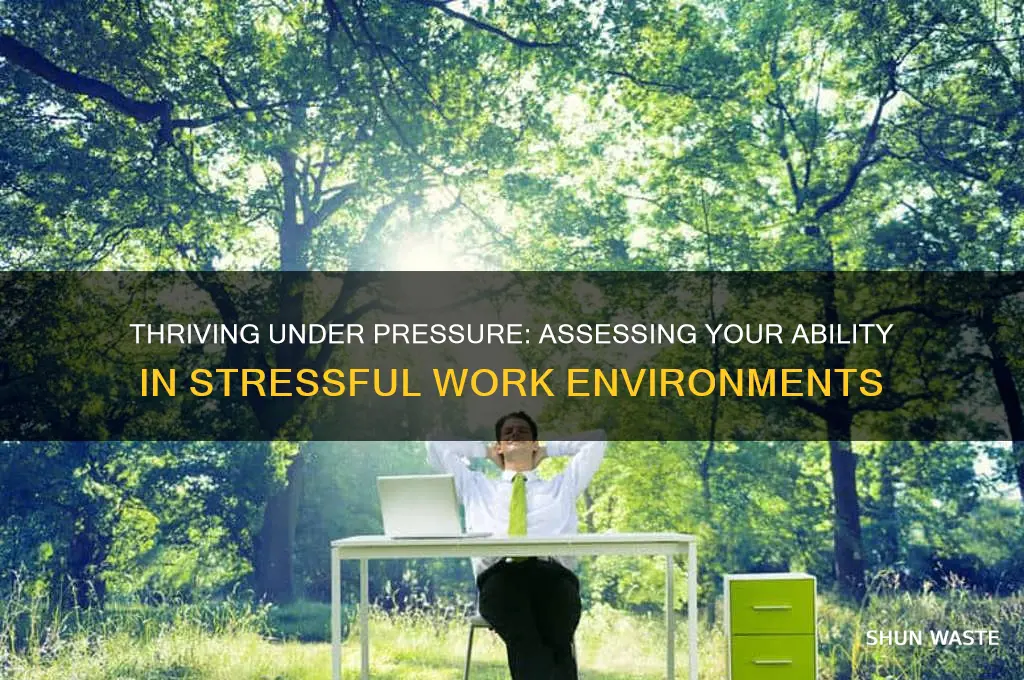 does this sentence ability to work in stressful work environment