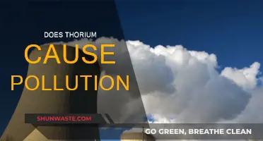 Thorium's Promise: Clean Energy or Hidden Pollution?