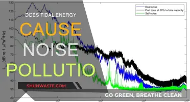 Tidal Energy's Noise Impact: A Comprehensive Analysis