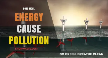 Tidal Energy: Clean Power or Hidden Pollution?